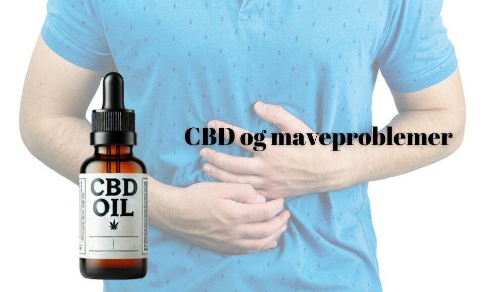 Cbd og maveproblemer: En dybere dykning i seneste studier