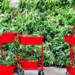 Fra opbevaring til transport: Hvordan en planterullevogn kan gøre livet lettere for haveejere