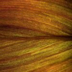 Små skridt, stor forskel: Struktur i hverdagen uden stress