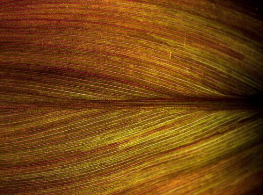 Små skridt, stor forskel: Struktur i hverdagen uden stress