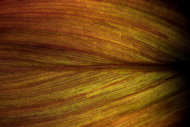 Små skridt, stor forskel: Struktur i hverdagen uden stress