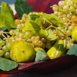 De bedste opskrifter med friske eller tørrede figner fra dit eget træ