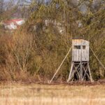 Juletræsfodens historie og udvikling