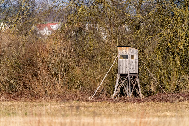 Juletræsfodens historie og udvikling