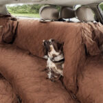 Sædeovertræk til hundeejere: Sådan undgår du skader og ridser på sæderne