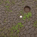 Spar penge ved at vælge den rette tagnedløbsbrønd